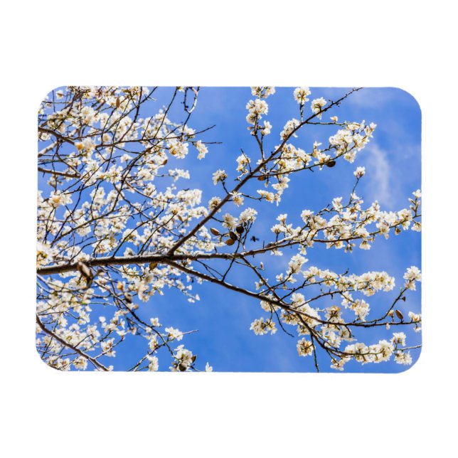 Ímã ramificação de floração (Horizontal)