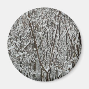 Imã Ramificações cobertas por neve inverno