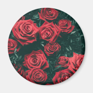 Imã Ramo de rosas vermelhas