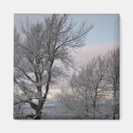 Imã Ramos cobertos de neve