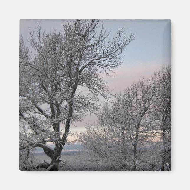 Imã Ramos cobertos de neve (Frente)