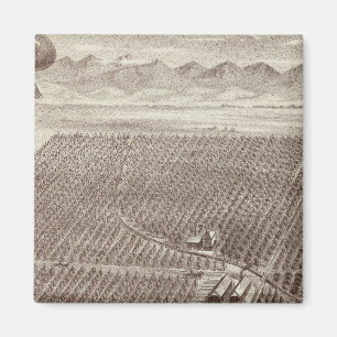 Imã Ranhura da Fruta da Capela