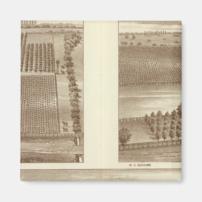 Imã Ranjas Lemoore (Frente)