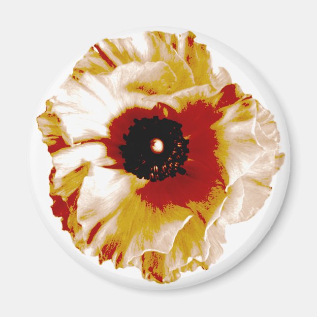 Imã ranóculo branco e laranja vibrante (Frente)