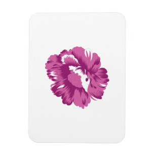 Ímã Rapariga, Pale Megenta, Saúde Real