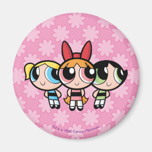 Imã Raparigas Powerpuff: Açúcar, especiarias e tudo 