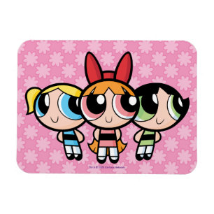 Ímã Raparigas Powerpuff: Açúcar, especiarias e tudo 
