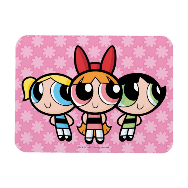 Ímã Raparigas Powerpuff: Açúcar, Especiarias e Tudo Mu (Horizontal)