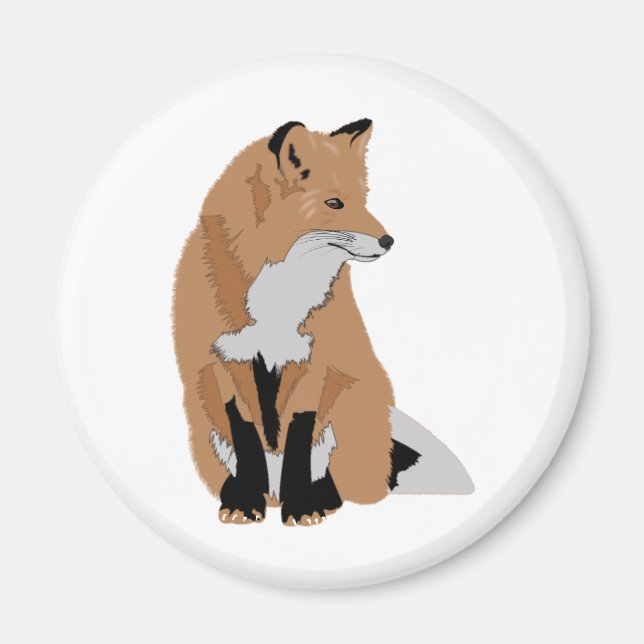 Imã Raposa (Frente)