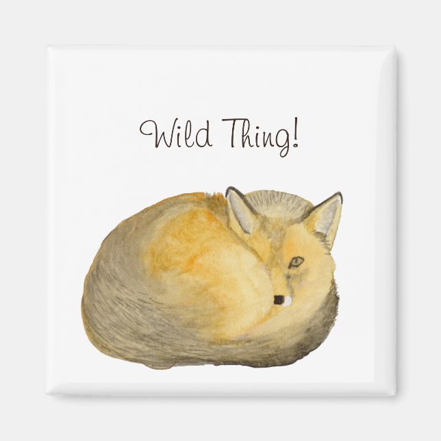 Imã Raposa (Frente)