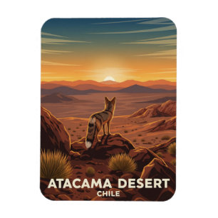 Ímã Raposa Andina no Deserto do Atacama no Chile