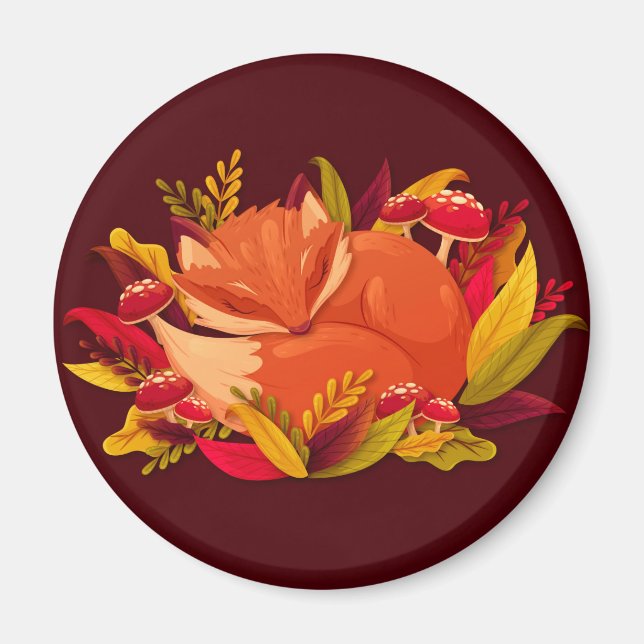 Imã Raposa-branca (Frente)