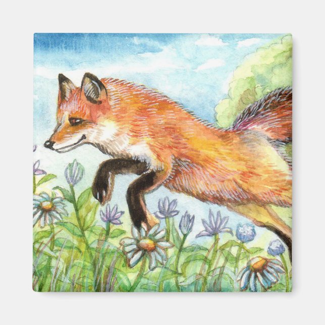 Imã Raposa-de-coleira (Frente)