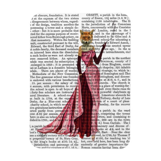 Ímã Raposa-de-vidro rosa (Vertical)