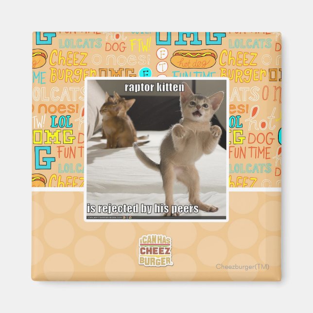 Imã Raptor Kitten (Frente)