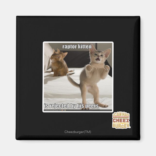 Imã Raptor Kitten (Frente)