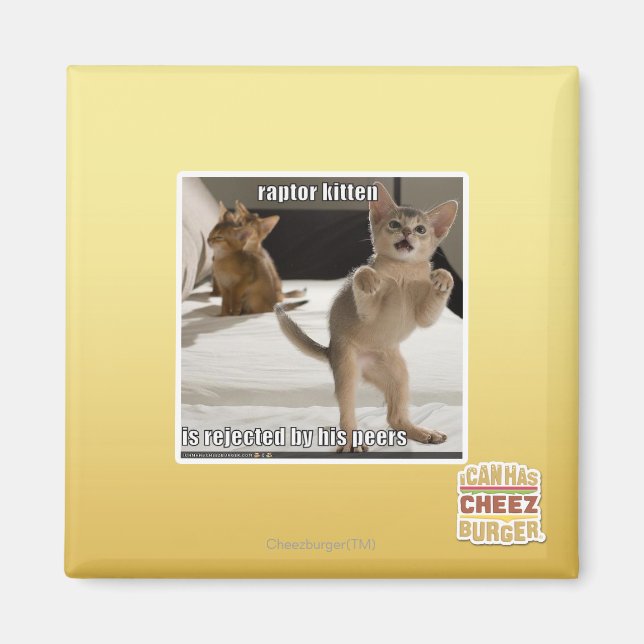 Imã Raptor Kitten (Frente)