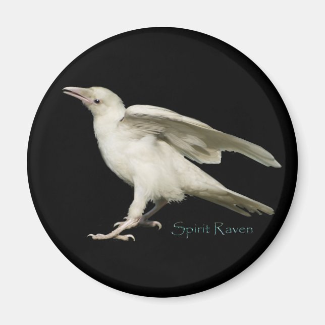 Imã Raras White Raven Photo Spirit Raven II Series (Frente)