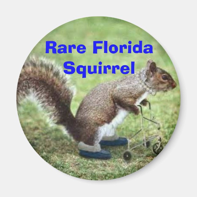Imã Rare Florida Squirrel (Frente)
