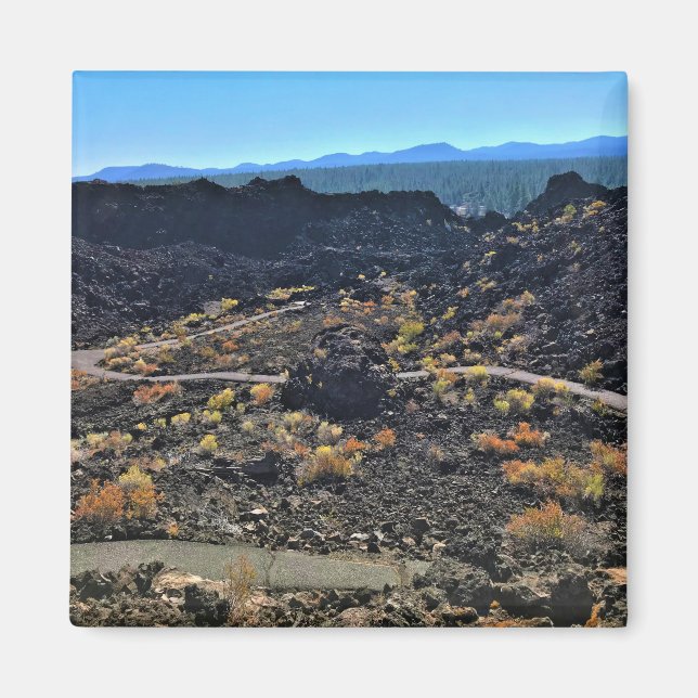 Imã Rastreio do Botão Lava, OU (Frente)