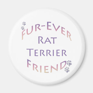 Imã Rat Terrier Fuere Amigos