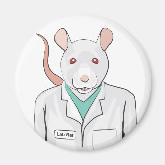 Imã Rato de laboratório