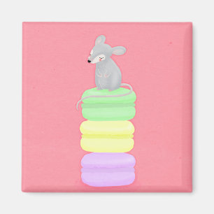 Imã rato e ímã dos macarons