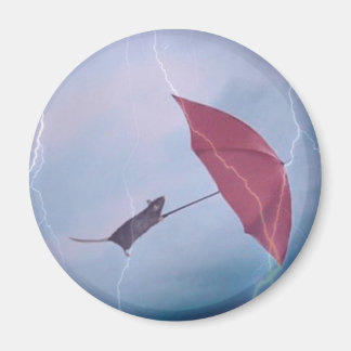 Imã Rato Em Um Magneto De Tempestade