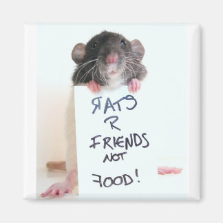 Imã Ratos R Amigos Não Comida 2