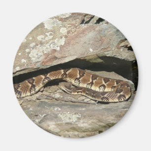 Imã Rattlesnake no Parque Nacional de Shenandoah