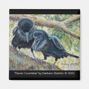 Imã "Raven Courtship"