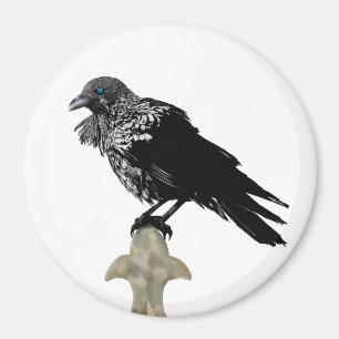 Imã Raven Incluso