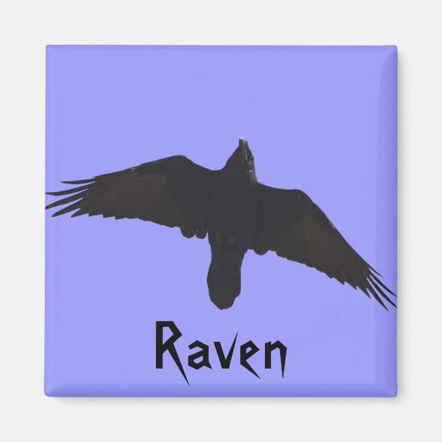 Imã Raven Magnets (Frente)