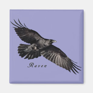 Imã Raven Magnets