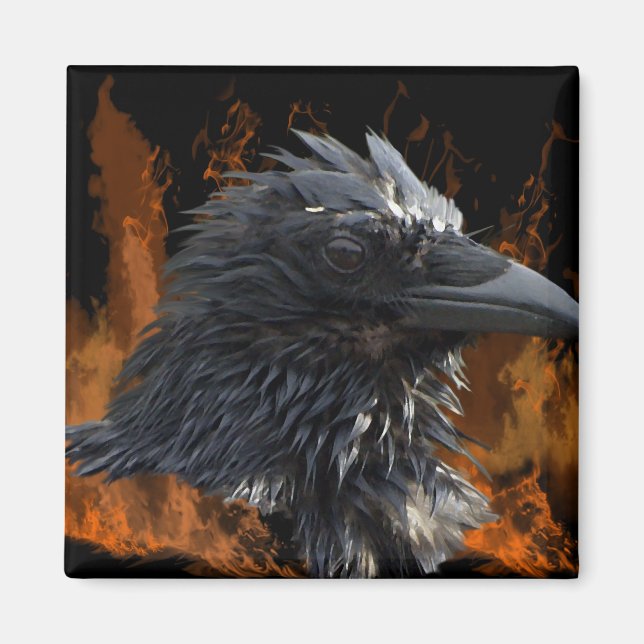 Imã Raven Magnets (Frente)