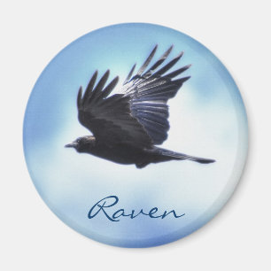 Imã Raven Voador no Céu Azul Foto HDR Design 2