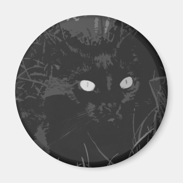 Imã ravina (Frente)