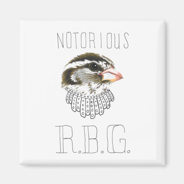 Imã RBG notório (Grosbeak mestiço de Rosa (Frente)