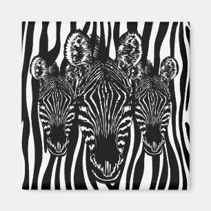 Imã Rebanho de Zebra da Moda em Estampa de Zebra