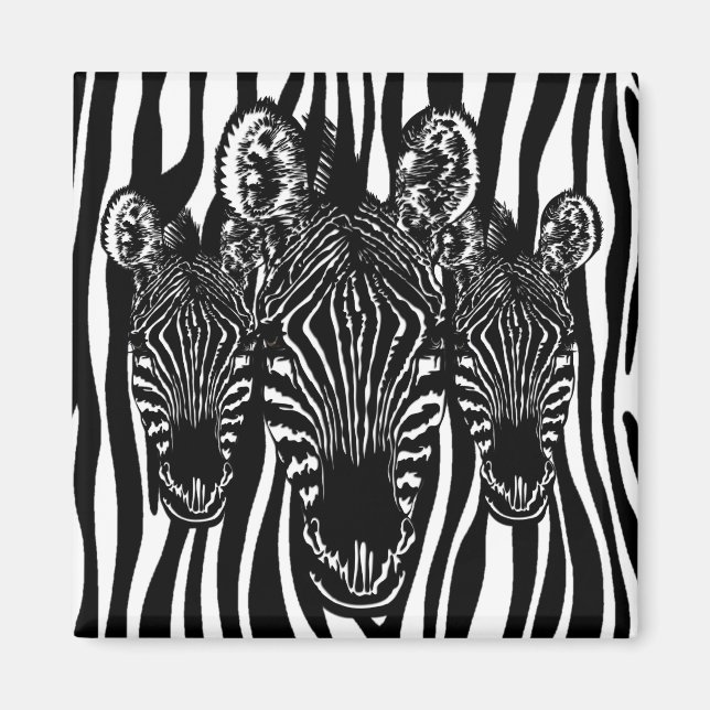 Imã Rebanho de Zebra da Moda em Estampa de Zebra (Frente)