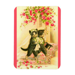 Ímã recém-casados com gatinho