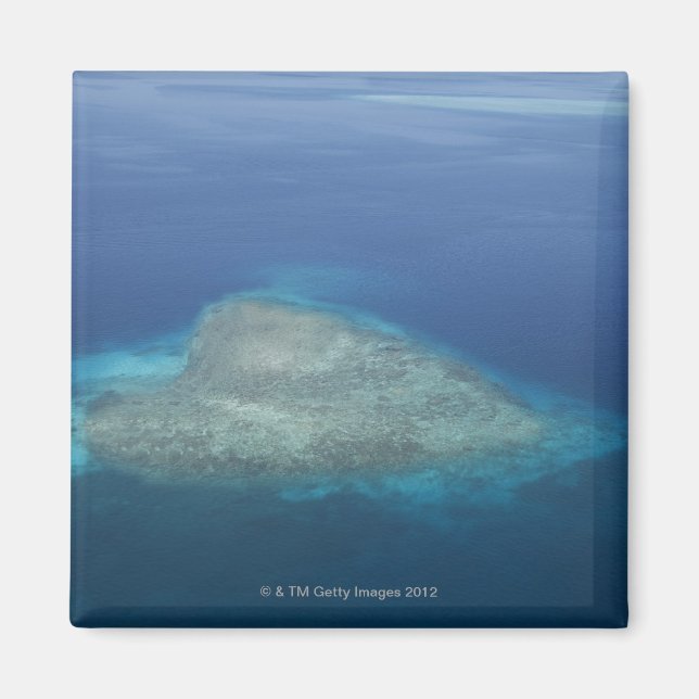 Imã Recife de coral em forma de coração (Frente)