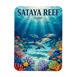 Ímã Recife Sataya Egito