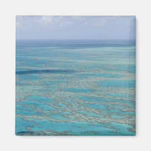 Imã Recife tropical, Grande Barreira de Coral, Queensl