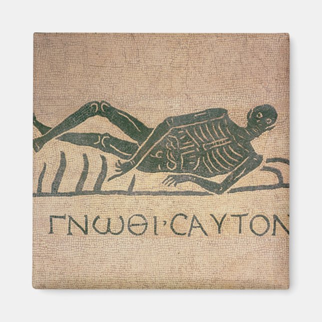 Imã Reclinando esqueleto com a legenda "Saber" (Frente)