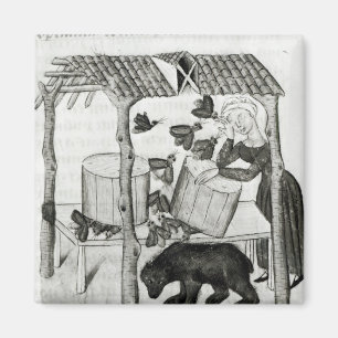 Imã Recolhendo o mel