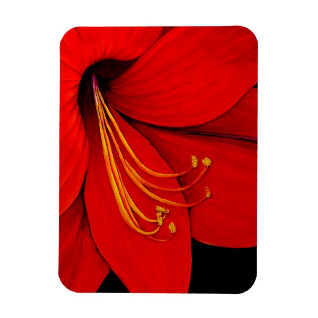 Ímã Red Amaryllis (Vertical)