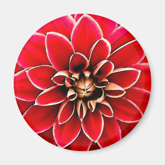 Imã Red Dahlia, arte digital (Frente)