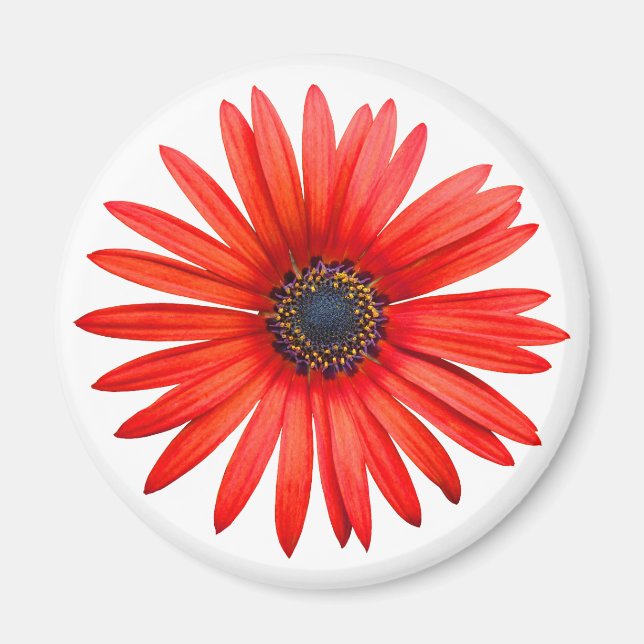 Imã Red Devil (Frente)