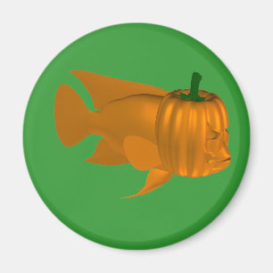 Imã Red Devil Cichlid